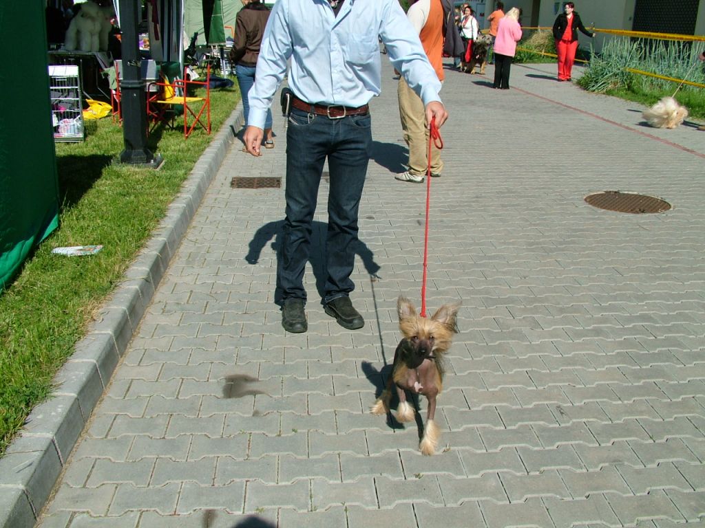 Picture
