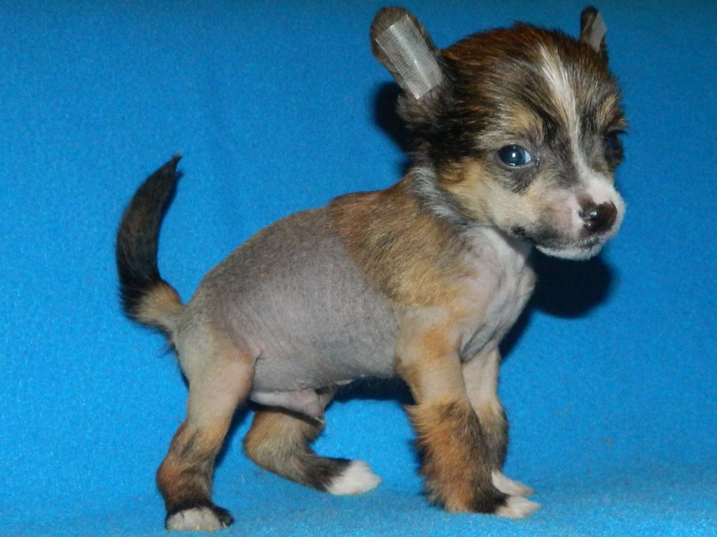 Picture