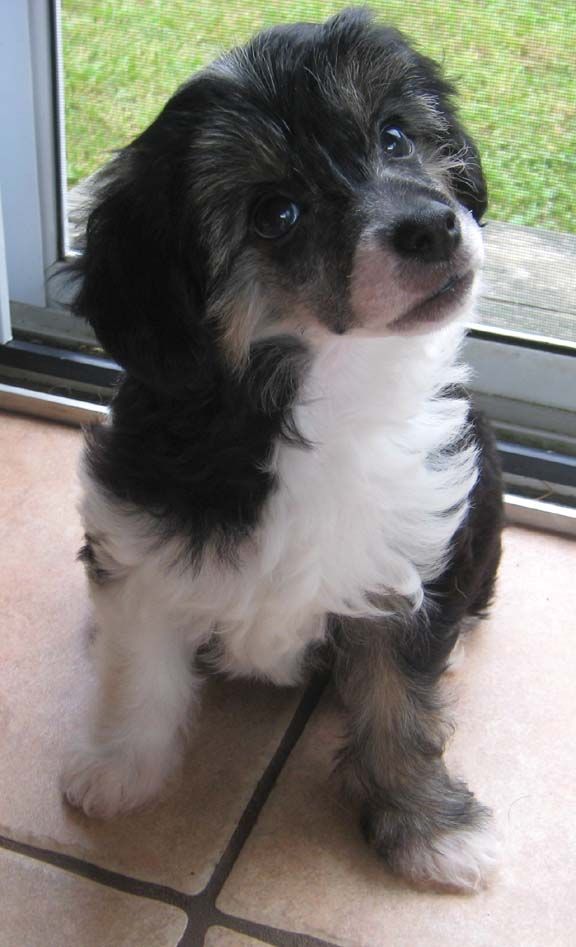 Jewels She's Got It All