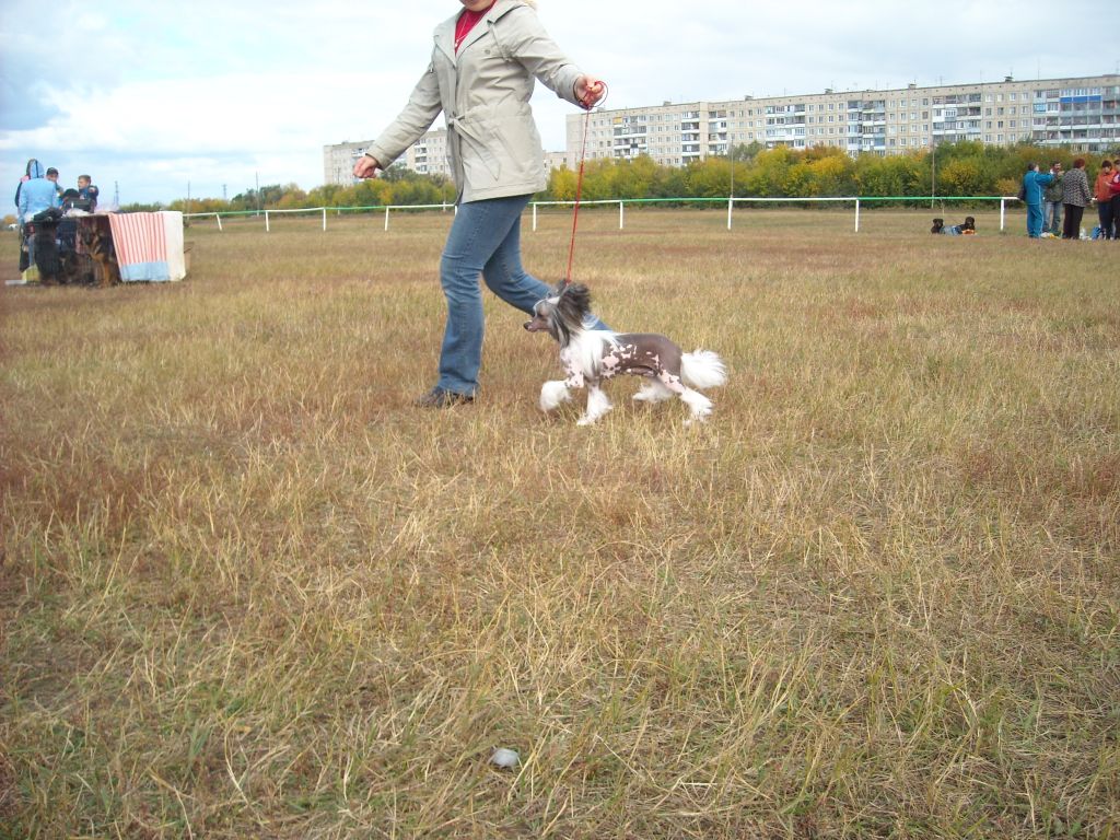 Picture