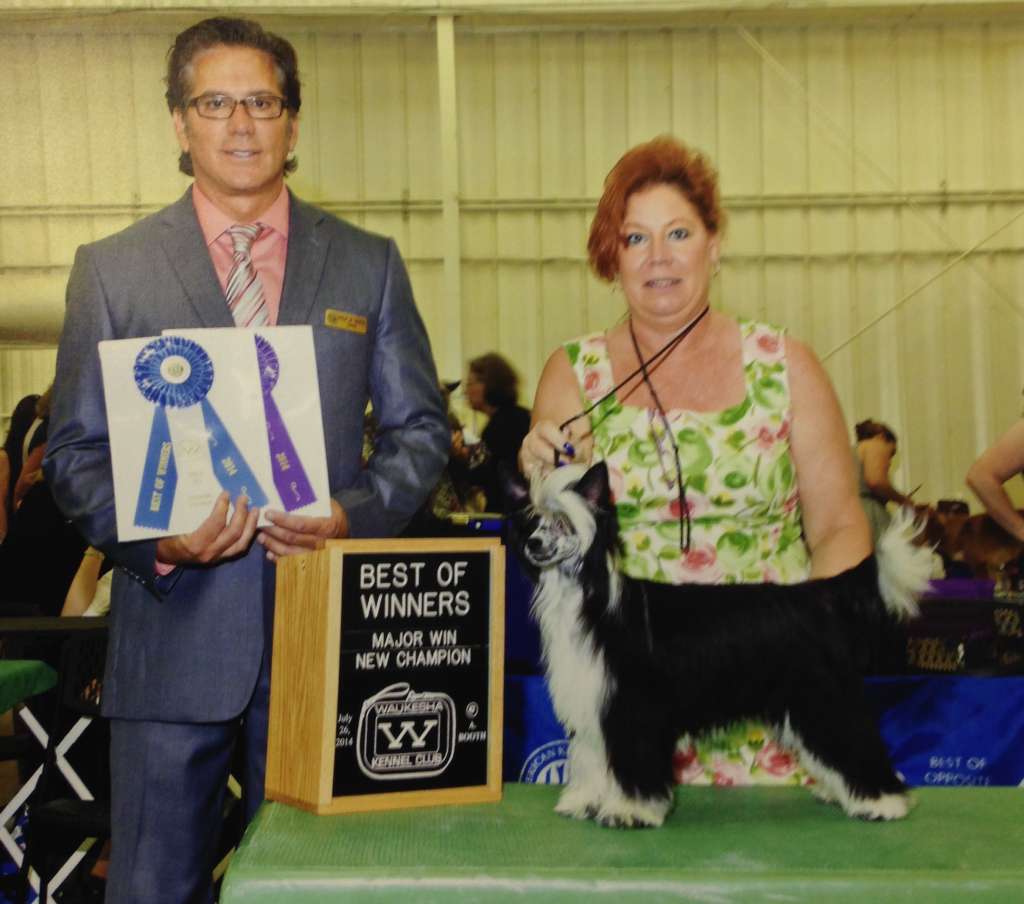 Edelweiss Langpur Chica Escuela