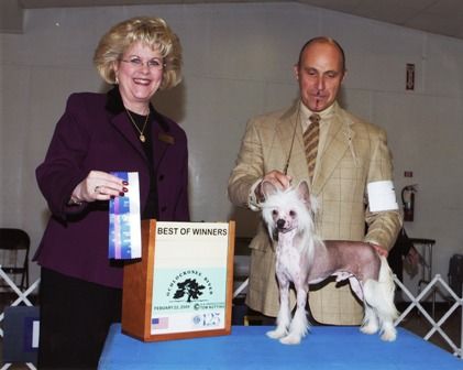 Blanch-o's Sparks Will Fly