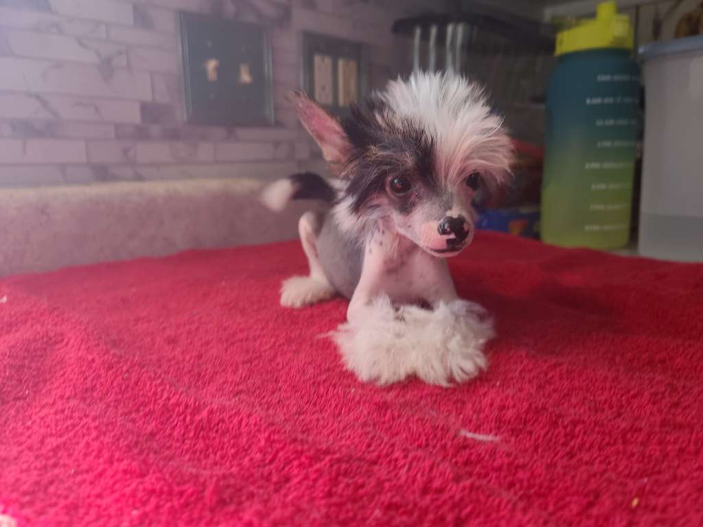 Long Haul's Legends Untold