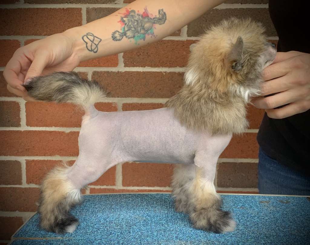 Gracieux Summer Romance