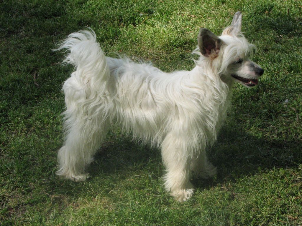 Perizads Out Of My Mind