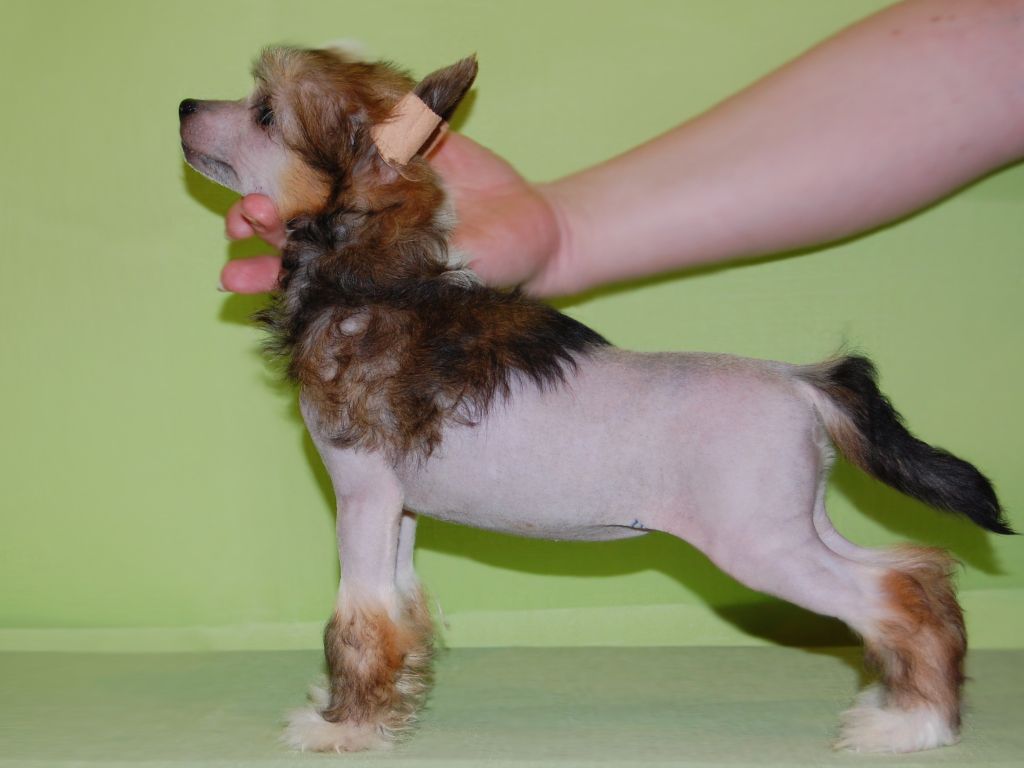 Picture