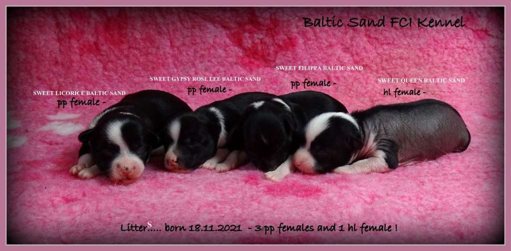 Sweet Gypsy Rose Lee Baltic Sand