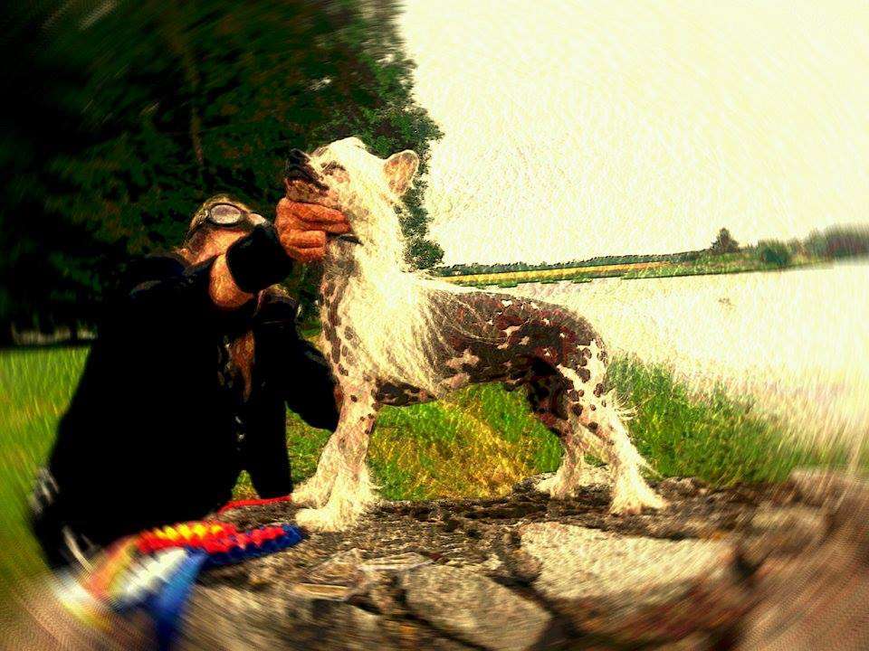 Picture