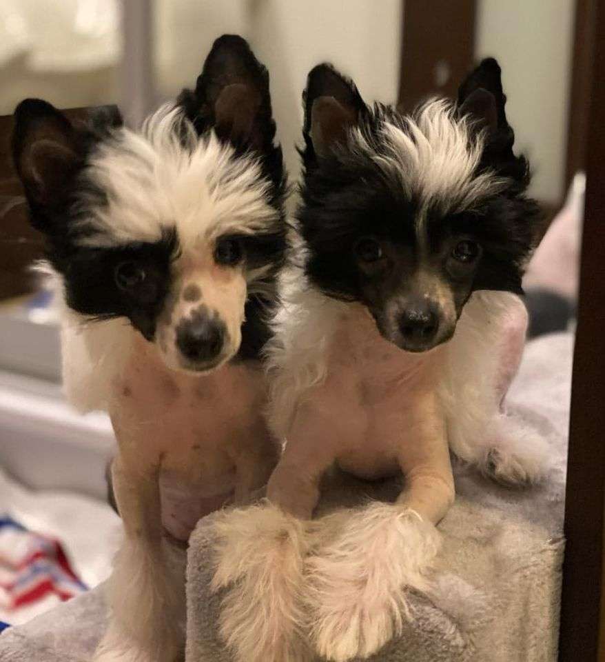 Picture