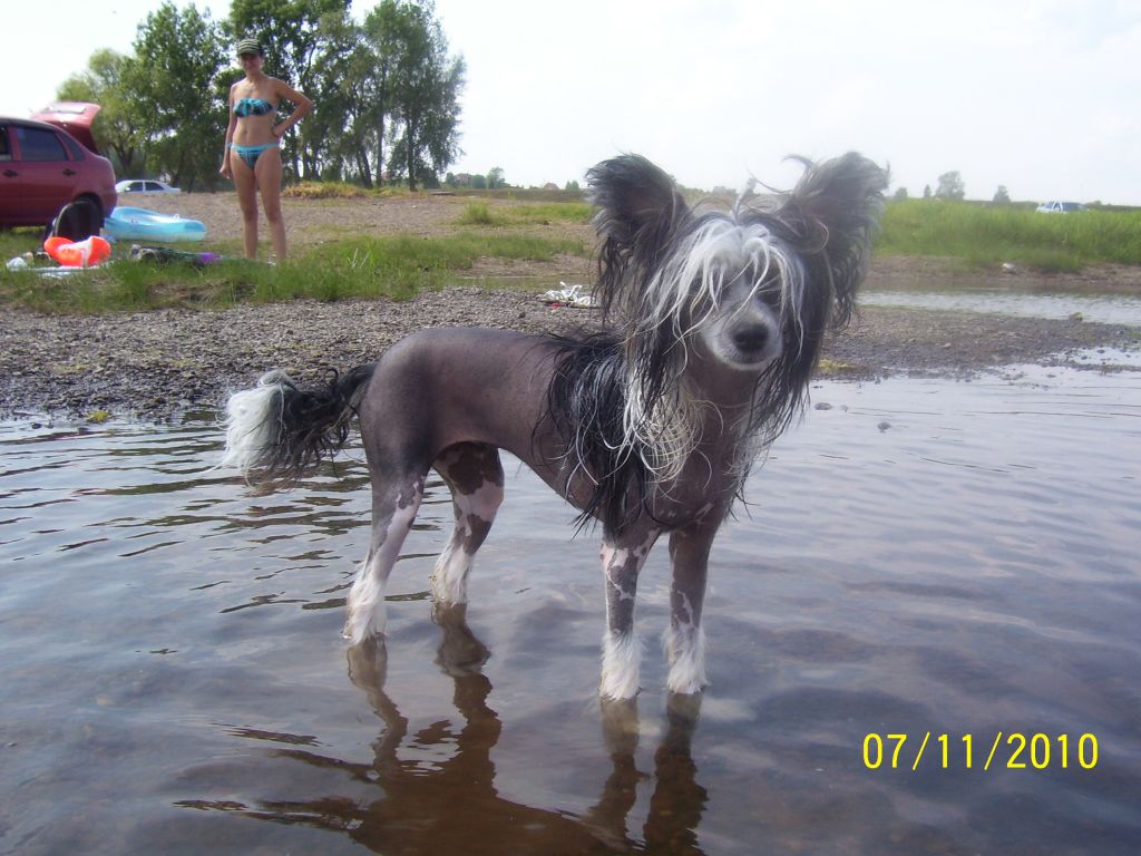 Picture