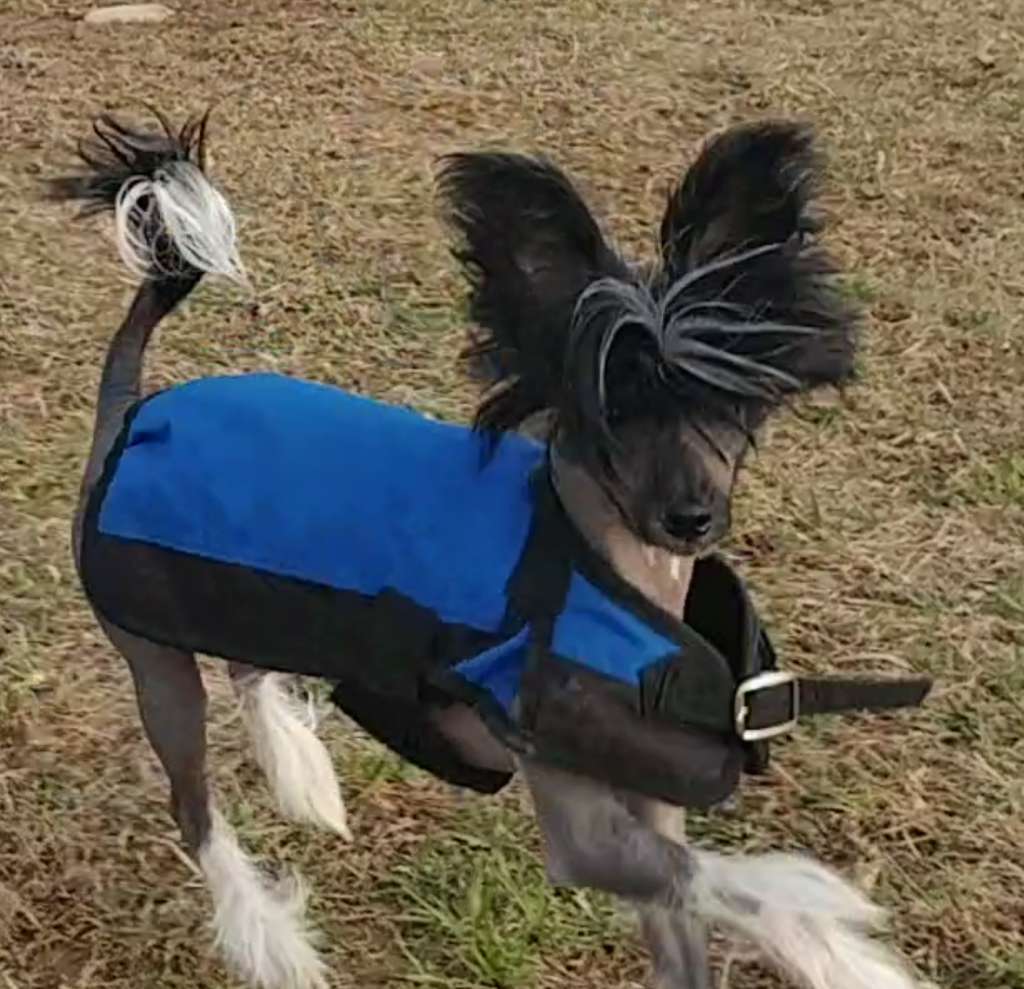 Picture