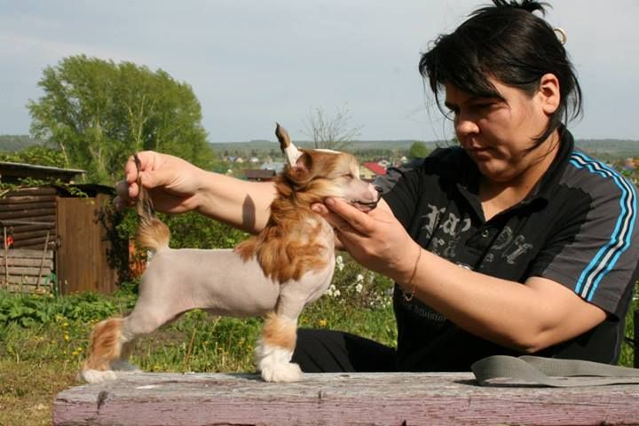 Picture