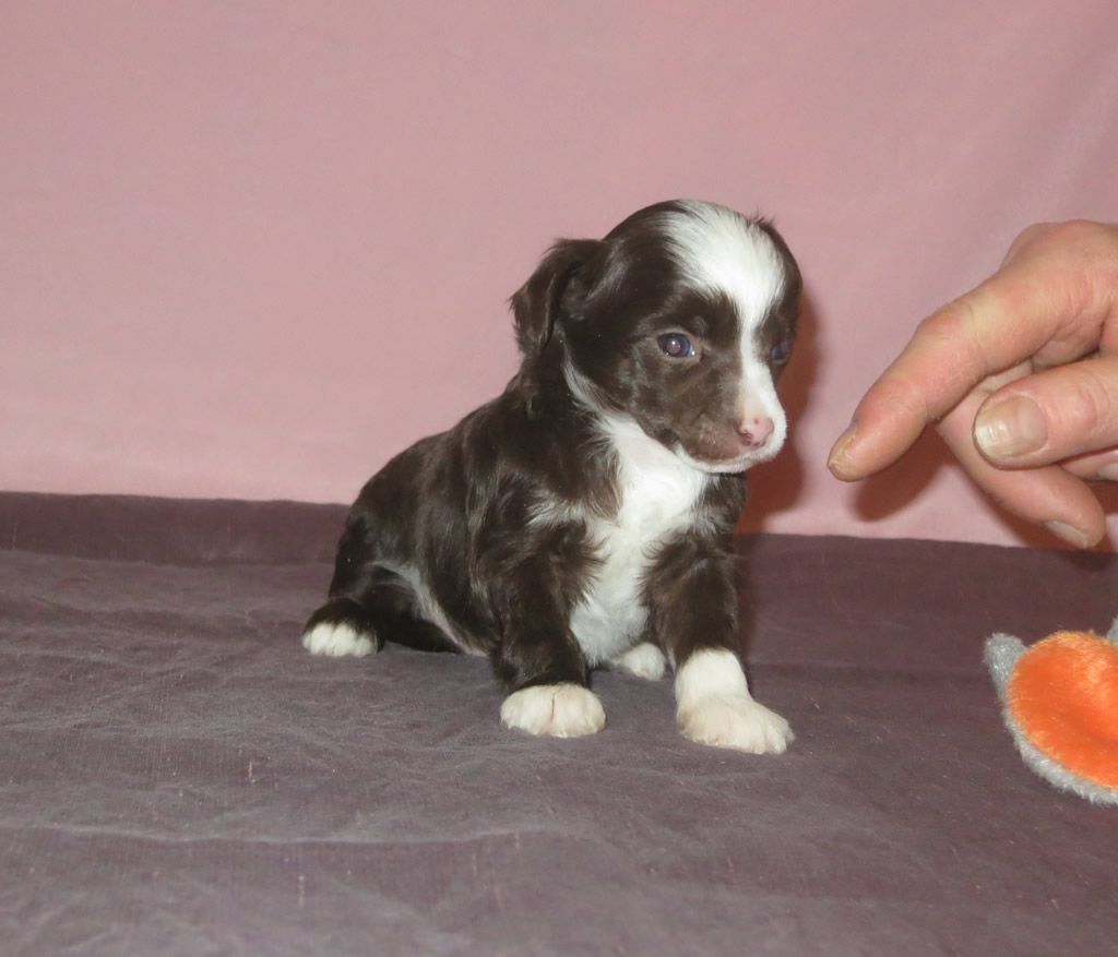 Picture