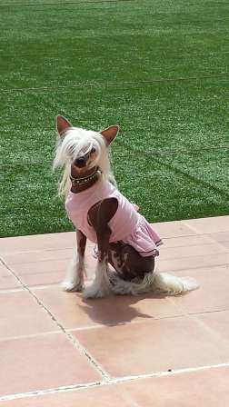 Picture