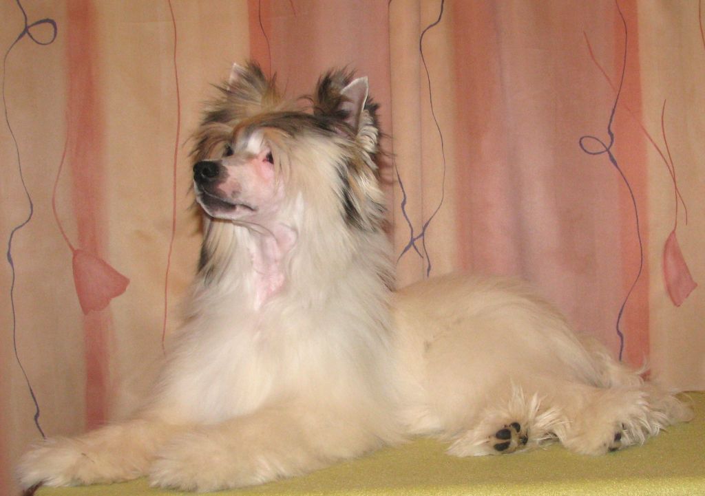 Picture