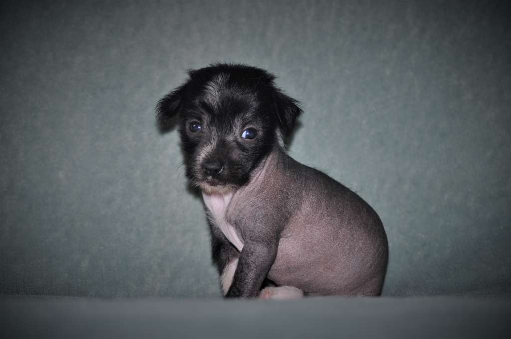 Run Away With You Angel Of The Moon