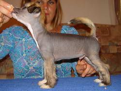 Stars at Sea Caribian Night