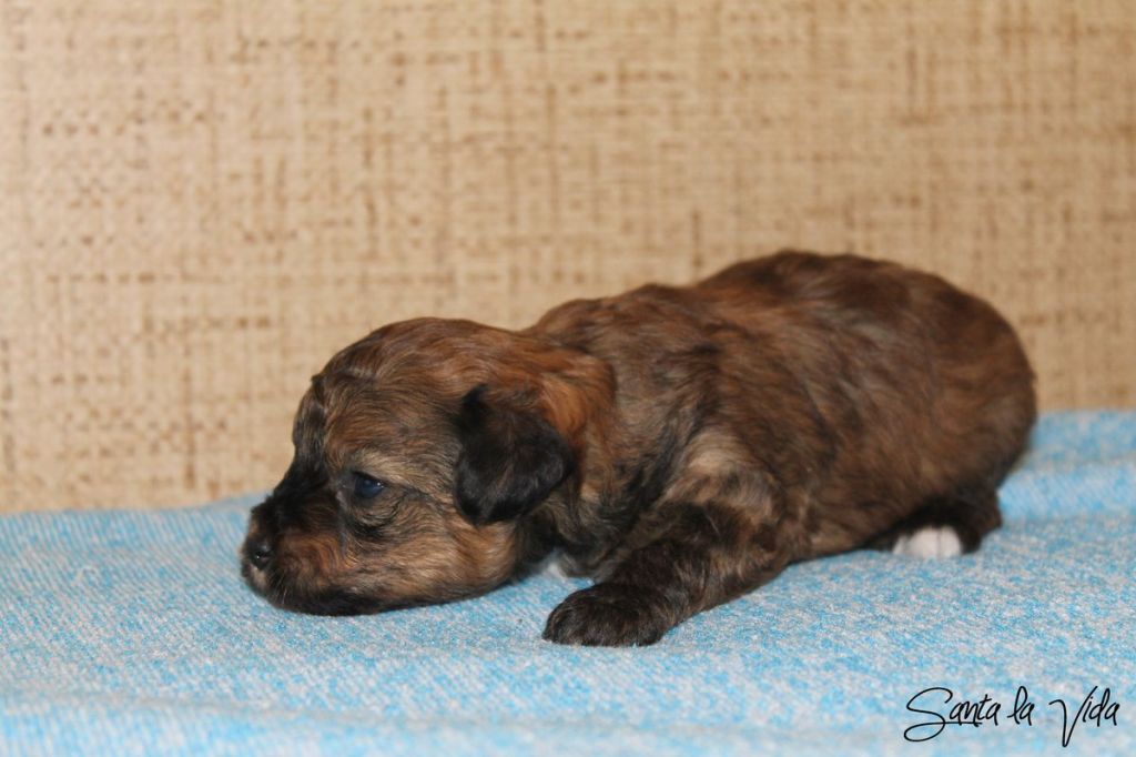 Picture