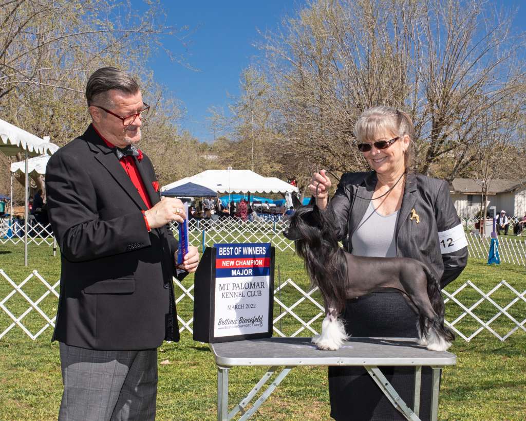 Crest-Vue's The New Normal