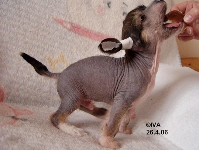 Juan-Carlos Ka-La-Em