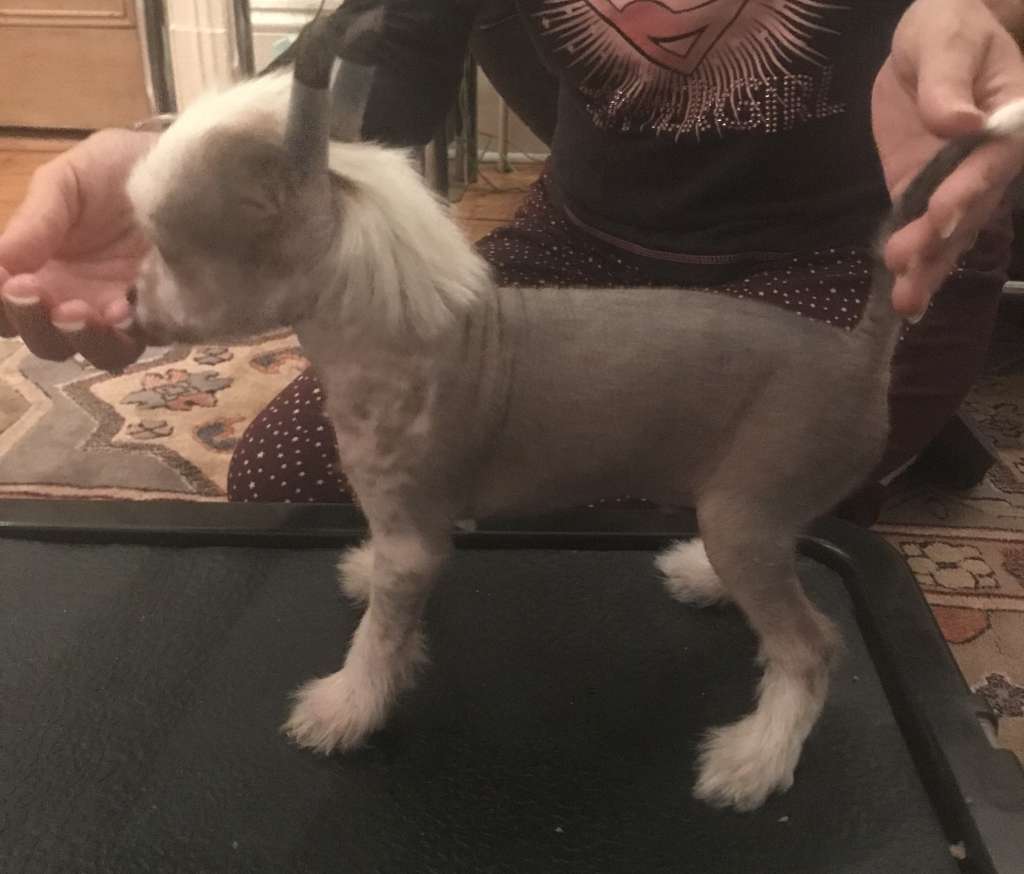 UnAmor Regalo De Tiempo