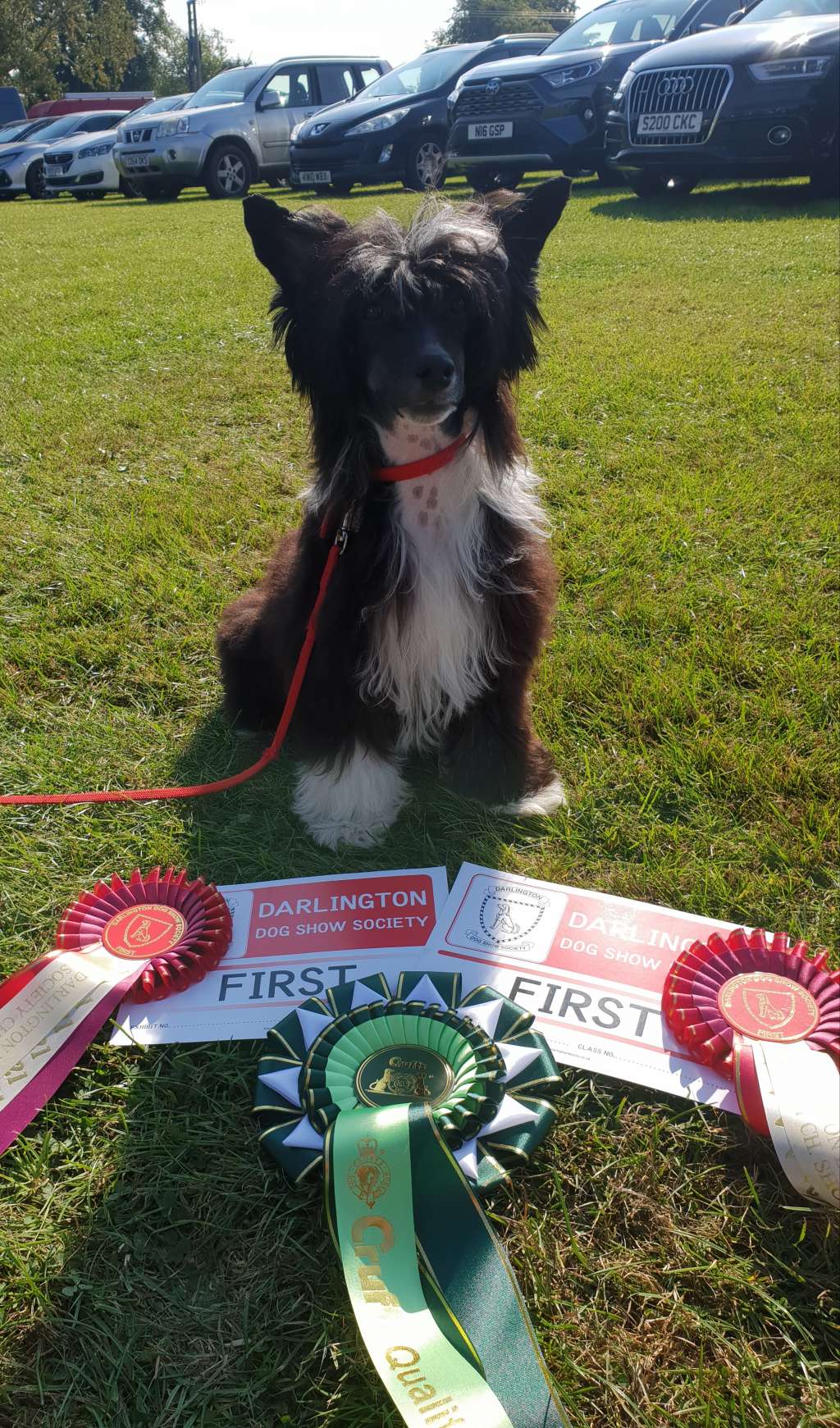 Doucai's Black Pudding