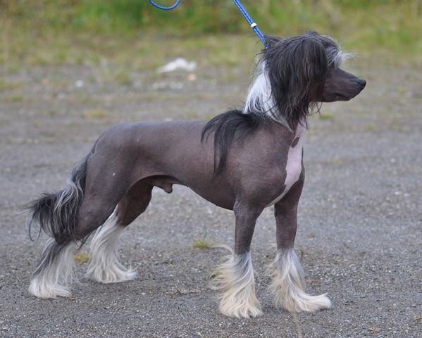 Picture