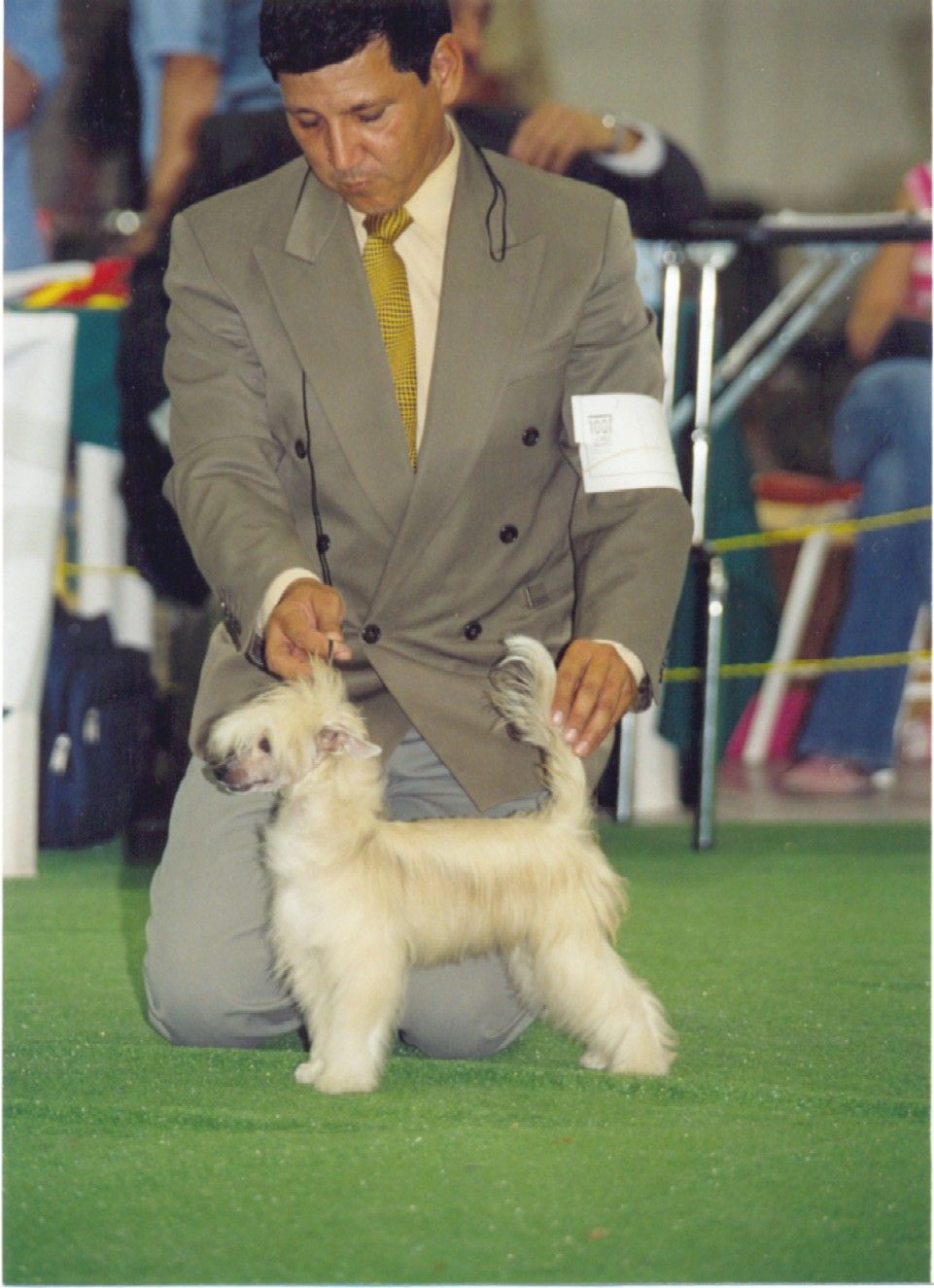 Nauset Princess Amaya