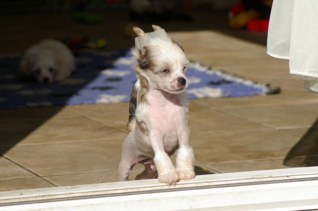 Picture
