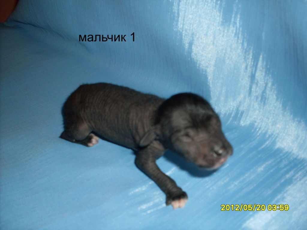 Picture