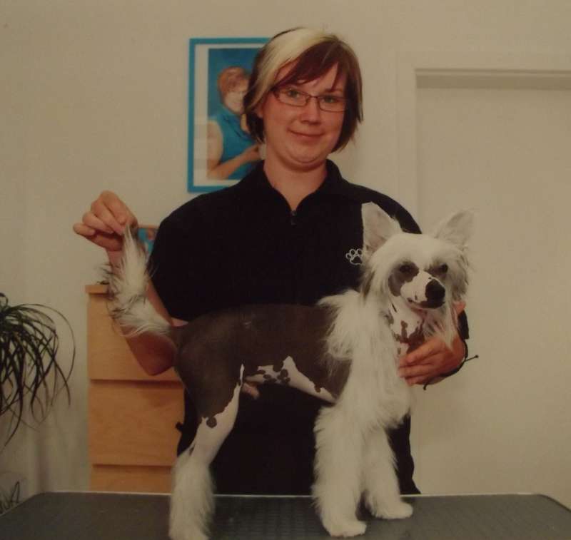 Dare to be bare of Candymoor Castle