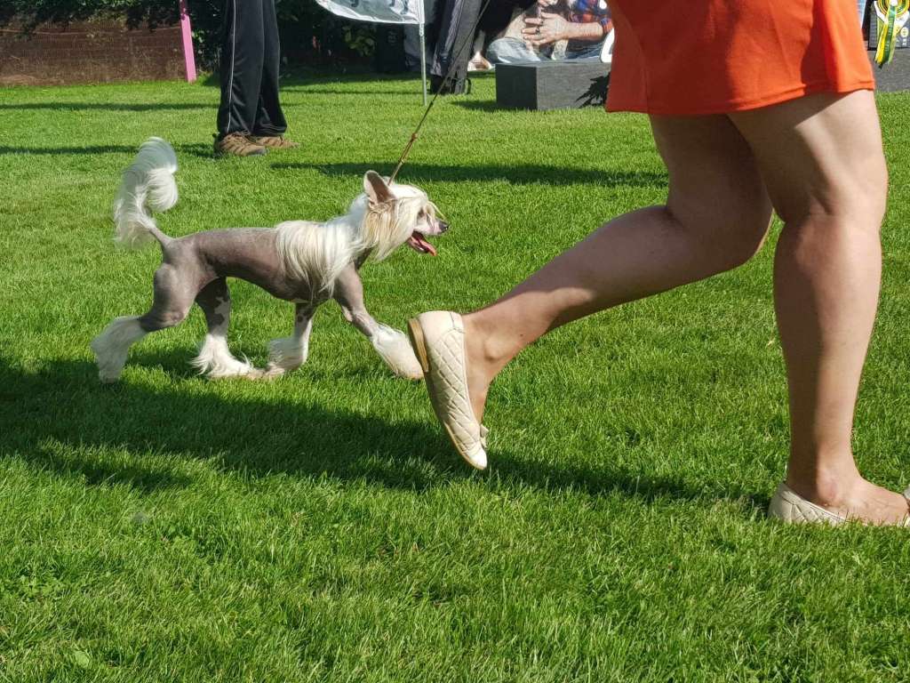 Vita Sweet love of Mine