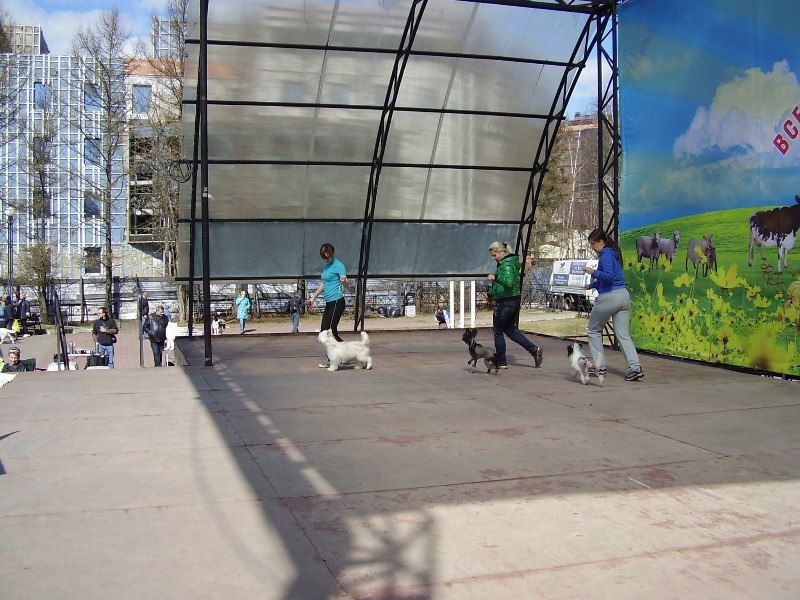 Picture