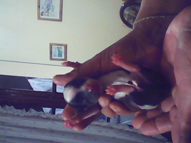 Picture