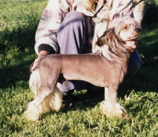 Mohawk Are Wehavn Funyet