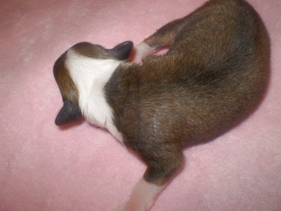 Picture