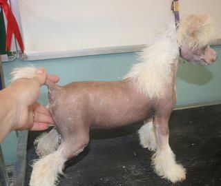 Doucai's All Mod Cons