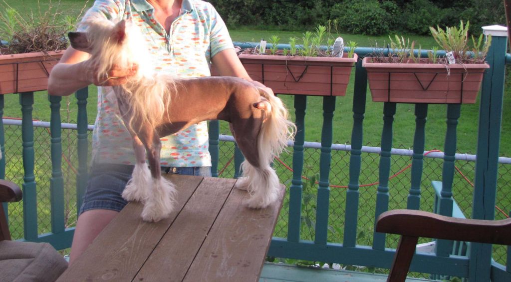 JRF-EverCrest Whiskey Lulaby