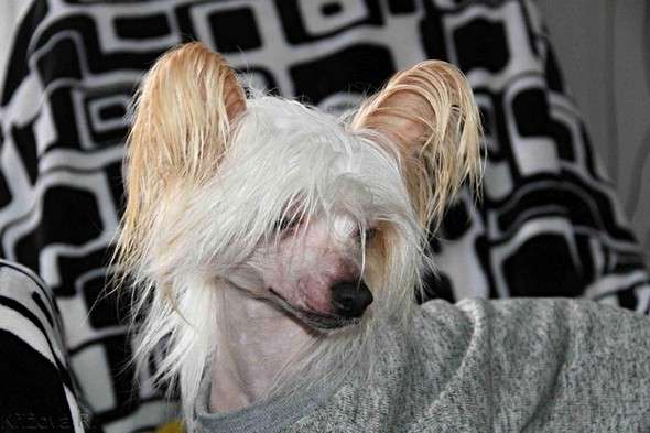 Bresty  Modrá laguna Moravia