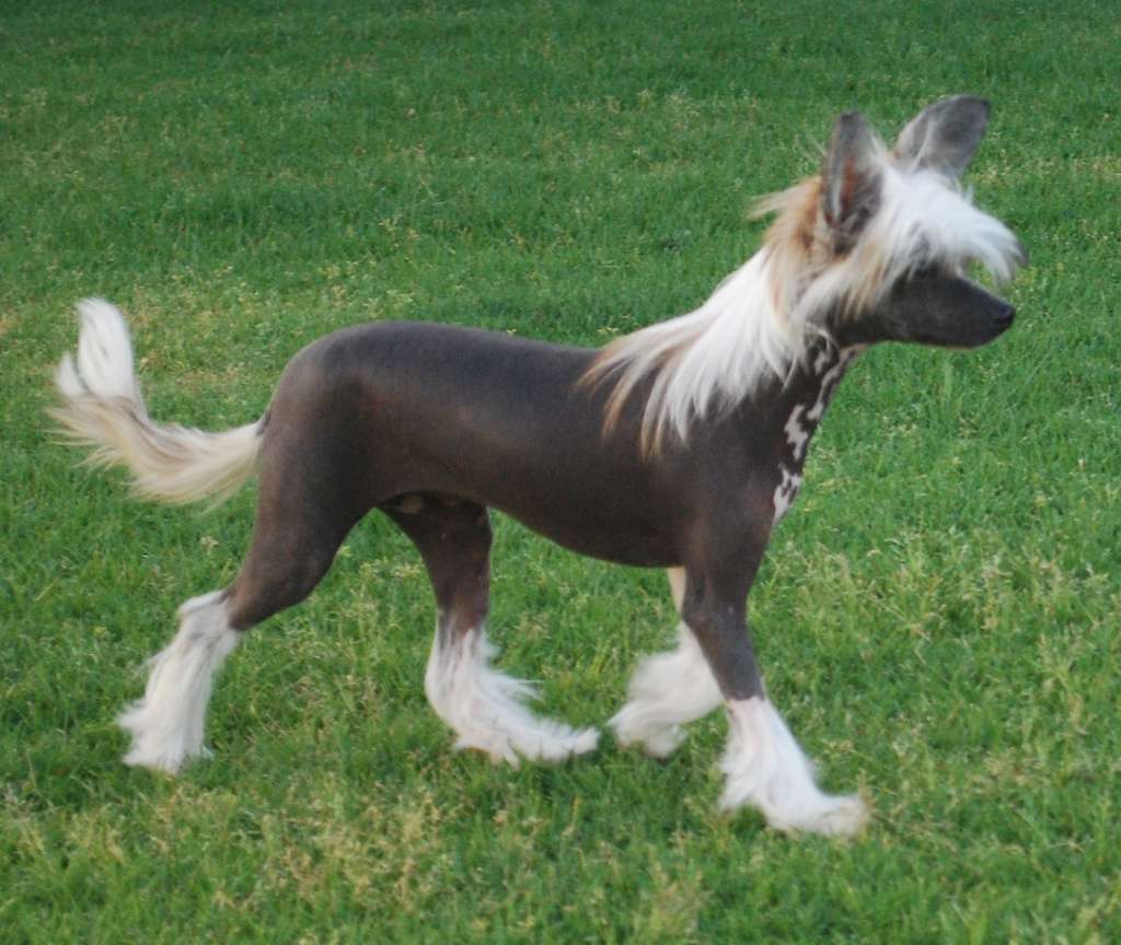 Kimissa Hot Litl Numba