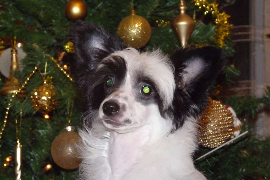 Picture