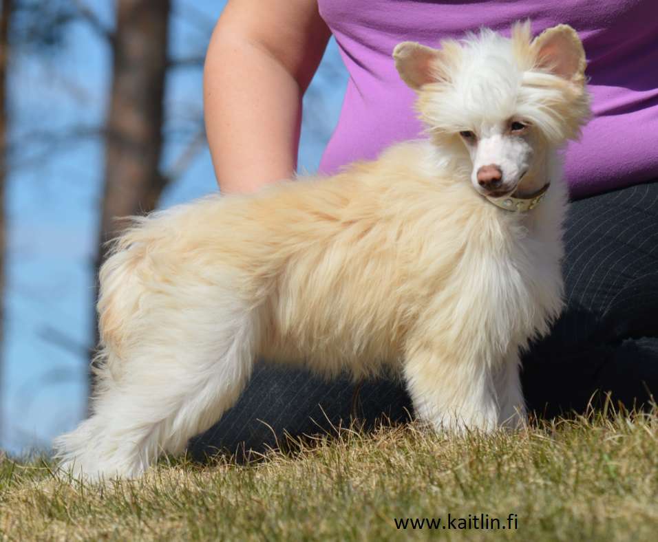 Kaitlin No No No Nitrous Oxide