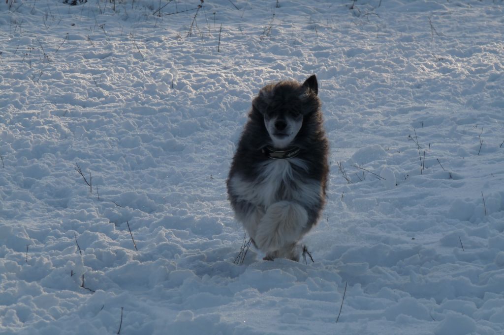 Ridgecrest's Play And Win