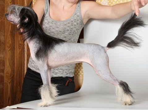 Golden Is Life Ria Sharlotta Life