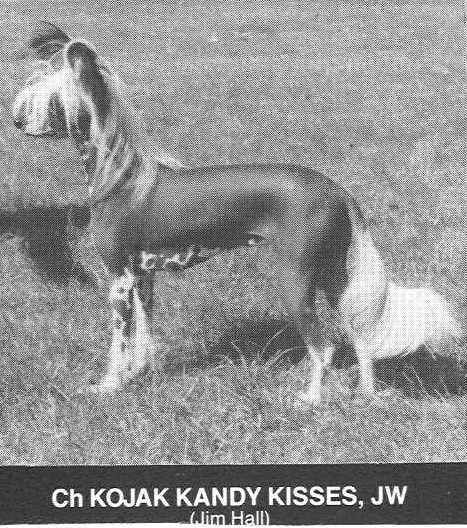 Kojak Kandy Kisses JW