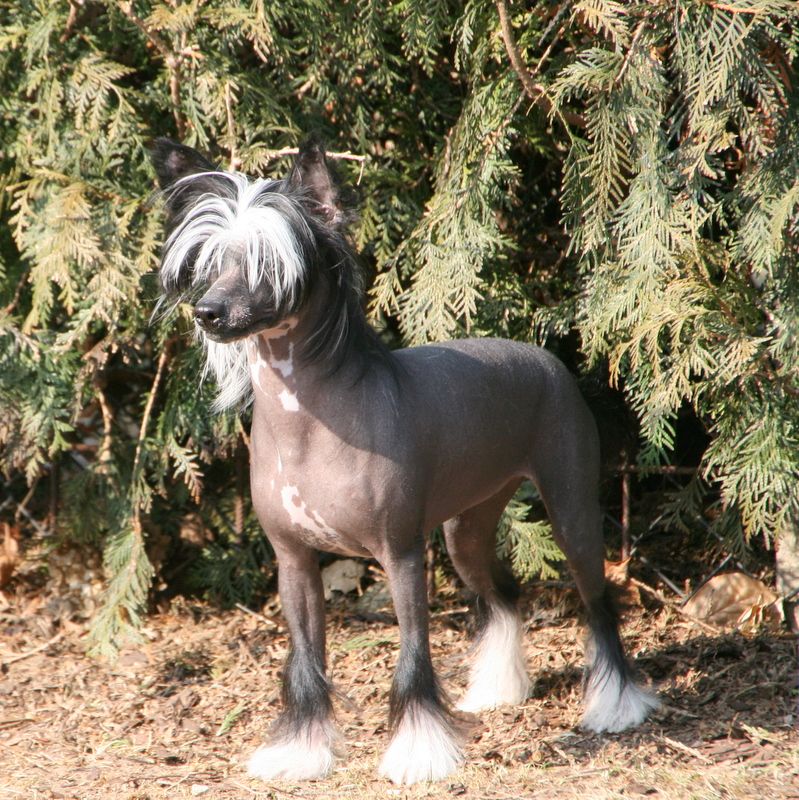 Solino's Upon My Soul