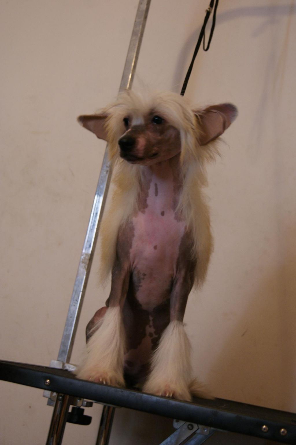 D'ezor Musica Electronica