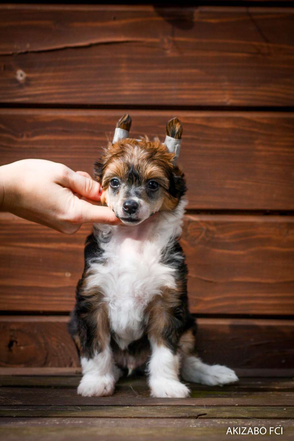 Dlaczego Taki Jedyny Akizabo