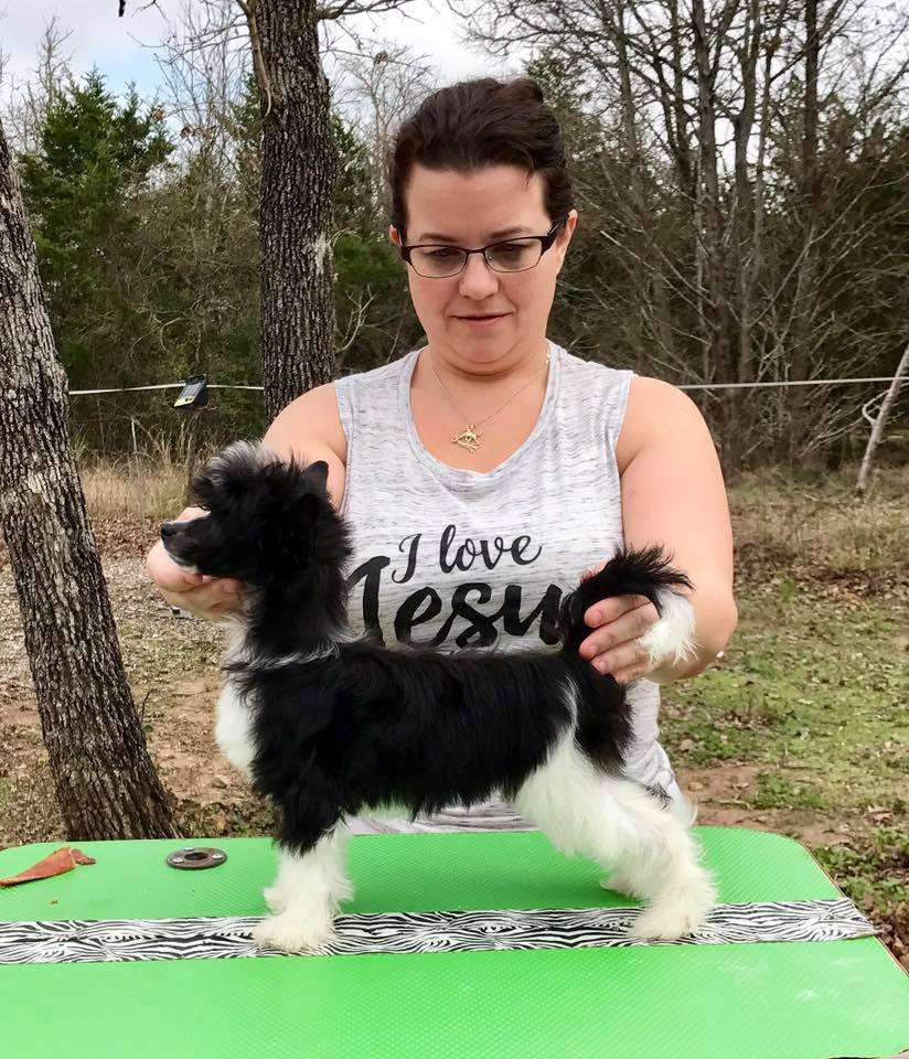 Kulana Dance With Me Dasha