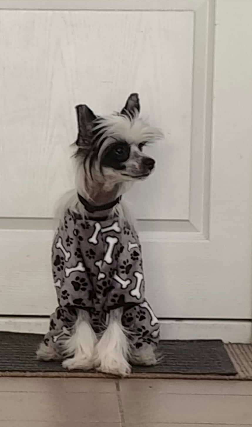 Fundoklia-völgyi Kaszanics Rasmus